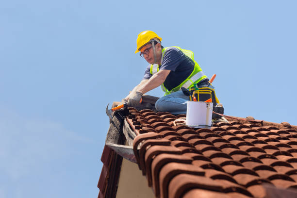 Steel Roofing in Gainesville, FL